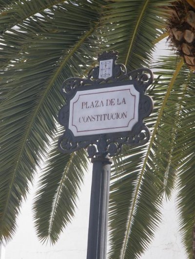 Imagen: Palmera y rótulo